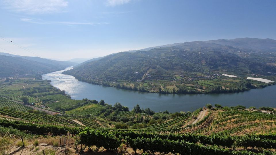 From Porto Private Wine Tour Tasting, Train and Vinho Verde - Picturesque Douro Valley Landscapes