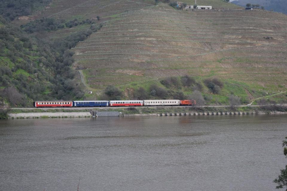 From Porto Private Wine Tour Tasting, Train and Vinho Verde - Immersive Boat Cruise Experience