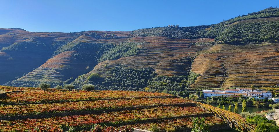 From Porto Private Wine Tour Tasting, Train and Vinho Verde - Important Tour Information and Inclusions