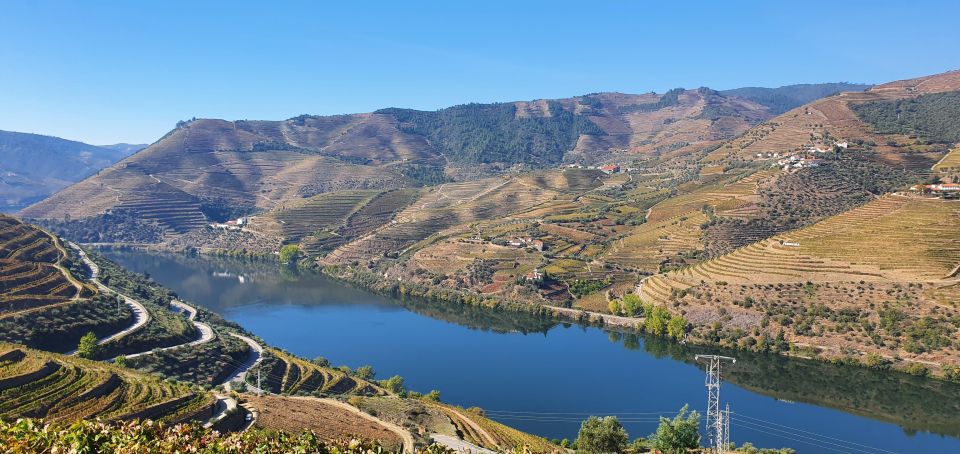 From Porto Private Wine Tour With 2 Tastings, Boat and Lunch - Sabrosa Lunch