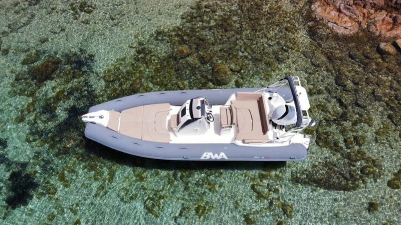 From Porto Rotondo: dinghy snorkeling tour with dolphin sighting - Key Points