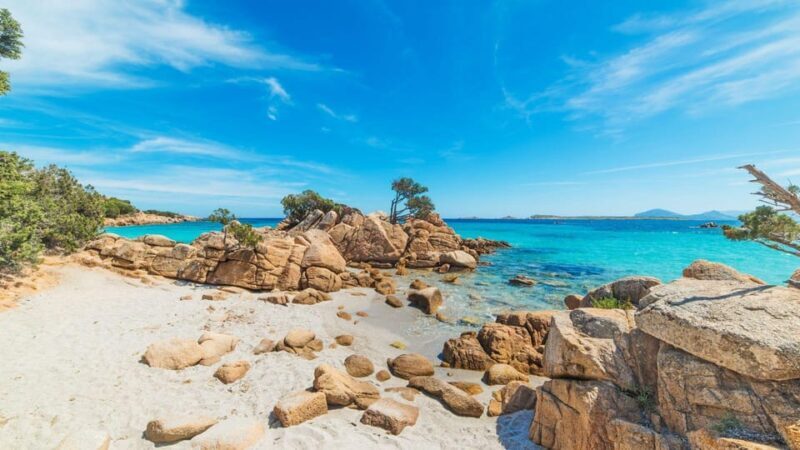 From Porto Rotondo: RIB tour of Porto Cervo's beaches - Key Points