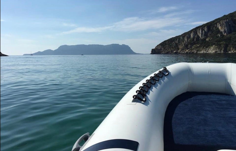 From Porto San Paolo: 4-hour boat tour to Tavolara - Key Points: