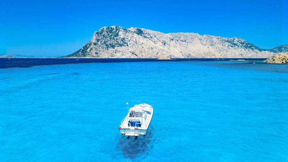 From Porto San Paolo: 4-hour boat tour to Tavolara - An overview of what to expect on this Sardinian marine escape