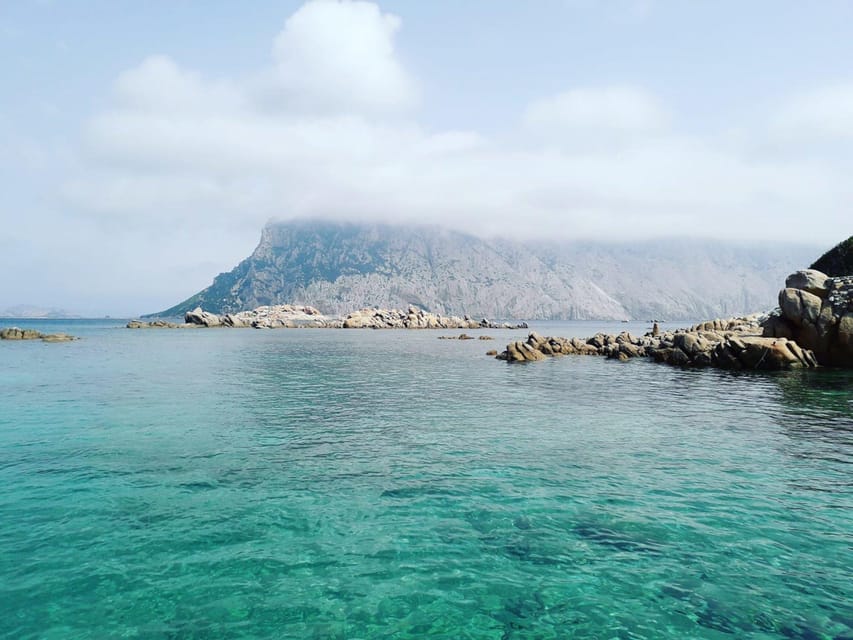 From Porto San Paolo: 4-hour boat tour to Tavolara - What travelers appreciate (and what to consider)