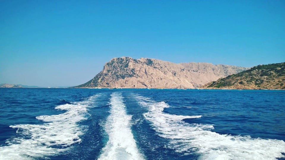 From Porto San Paolo: 4-hour boat tour to Tavolara - The Sum Up: Is this tour right for you?