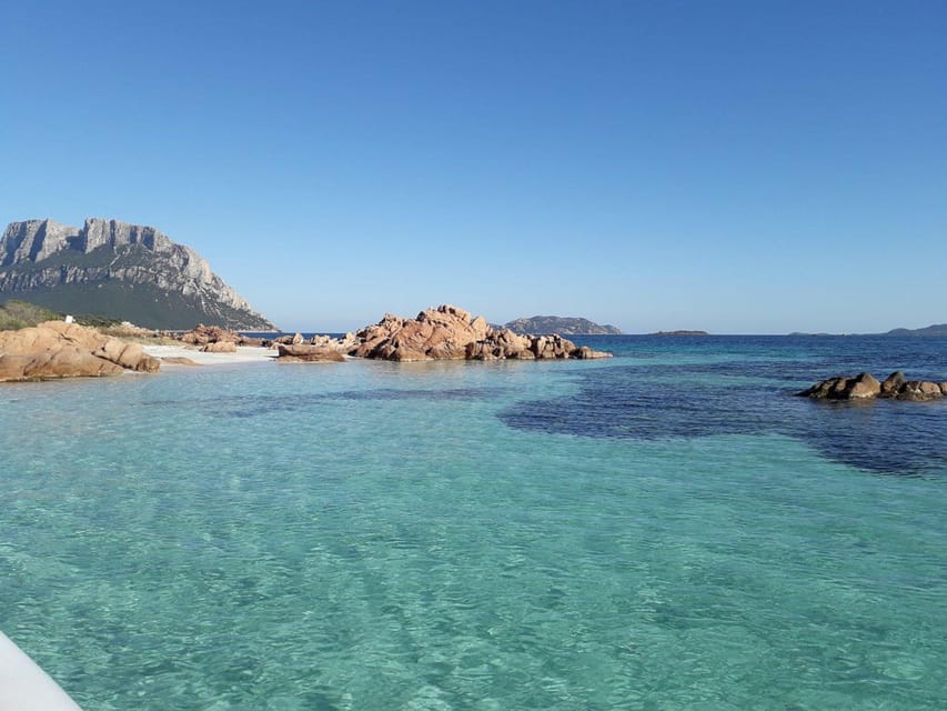 From Porto San Paolo: 4-hour boat tour to Tavolara - Frequently Asked Questions