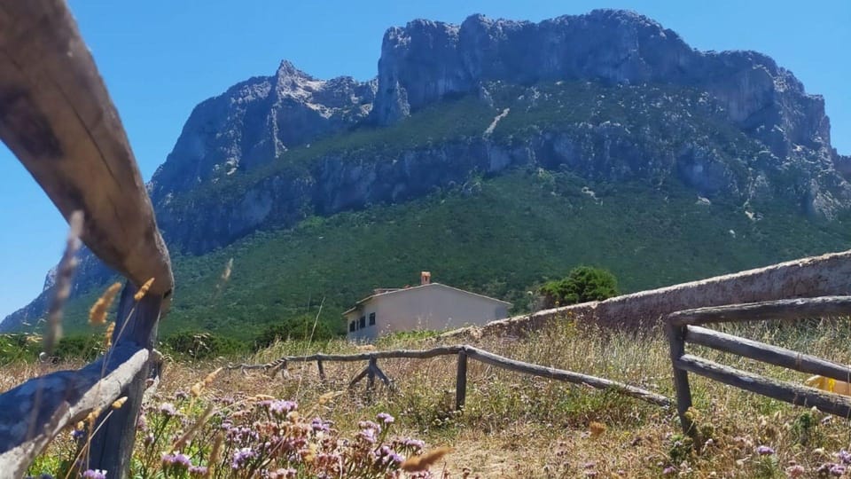 From Porto San Paolo: Coastal Trekking Around Tavolara - Activity Overview