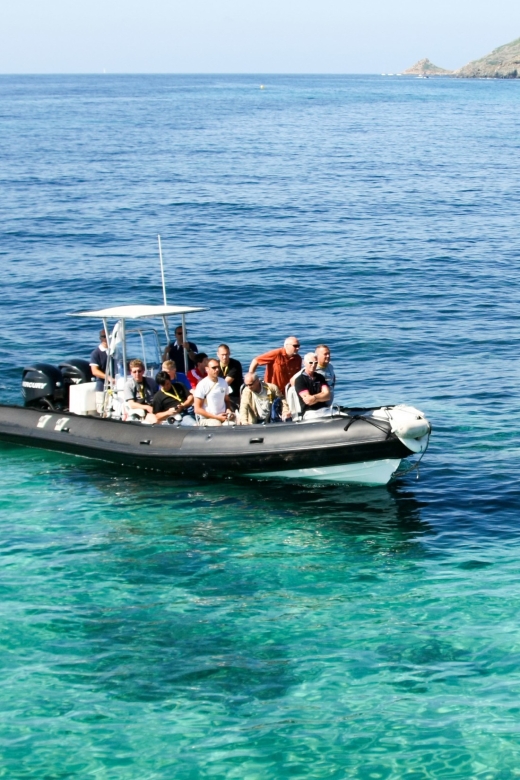 From Porto: Scandola and Calanche De Piana Boat Tour - Highlights of the Excursion