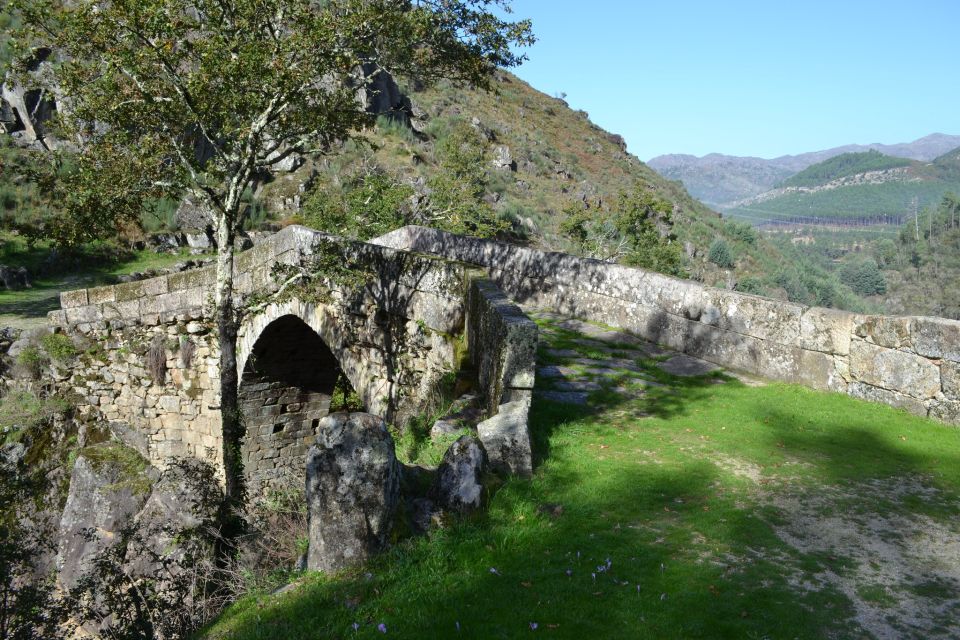From Porto: Small Group Day Tour of Geres National Park - Discovering Picturesque Waterfalls