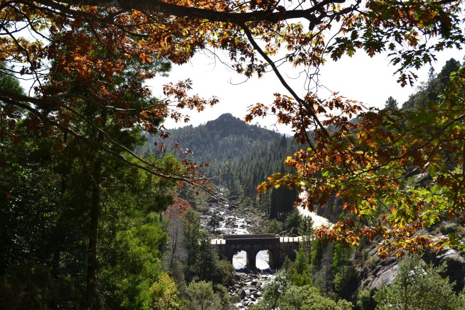 From Porto: Small Group Day Tour of Geres National Park - Tour Duration and Highlights