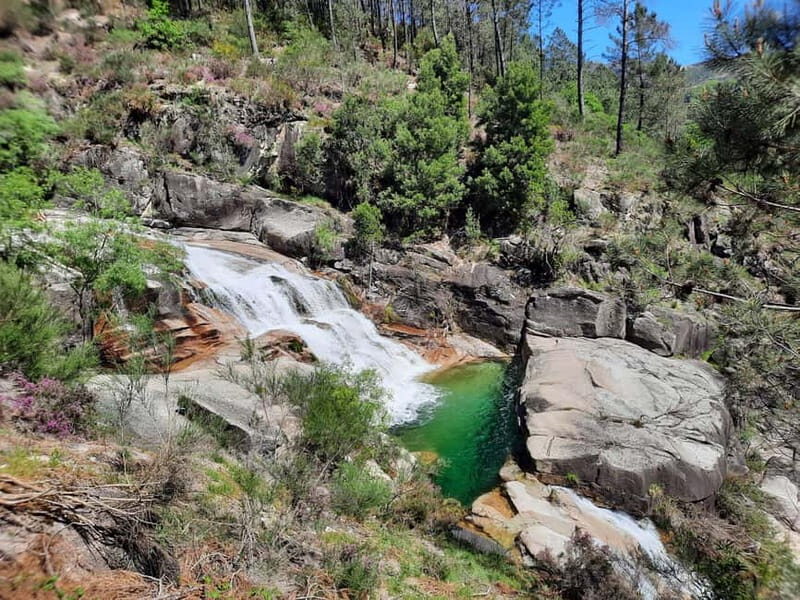 From Porto: small-group guided tour of the Douro Valley and Gerês - The Sum Up