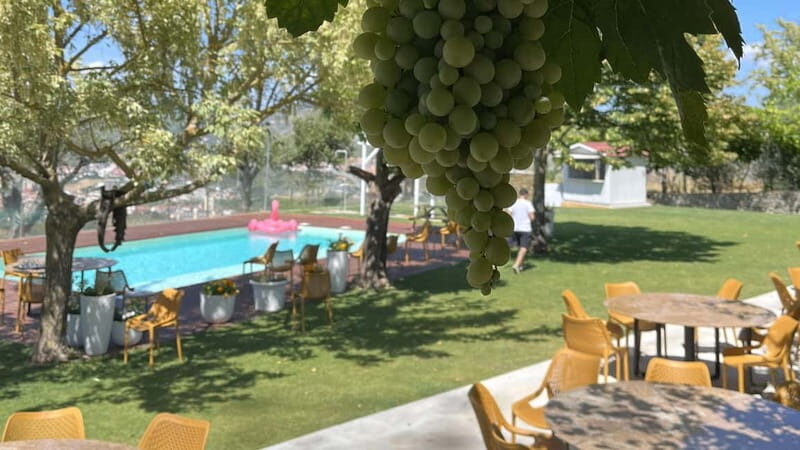 From Porto: Tastings at 2 Wineries, Chef's Lunch & Boat Tour - The Value of the Experience