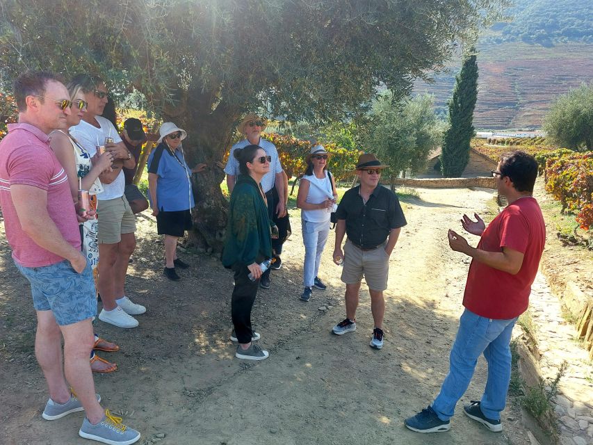 From Porto to Douro Valley, UNESCO World Heritage - Key Points