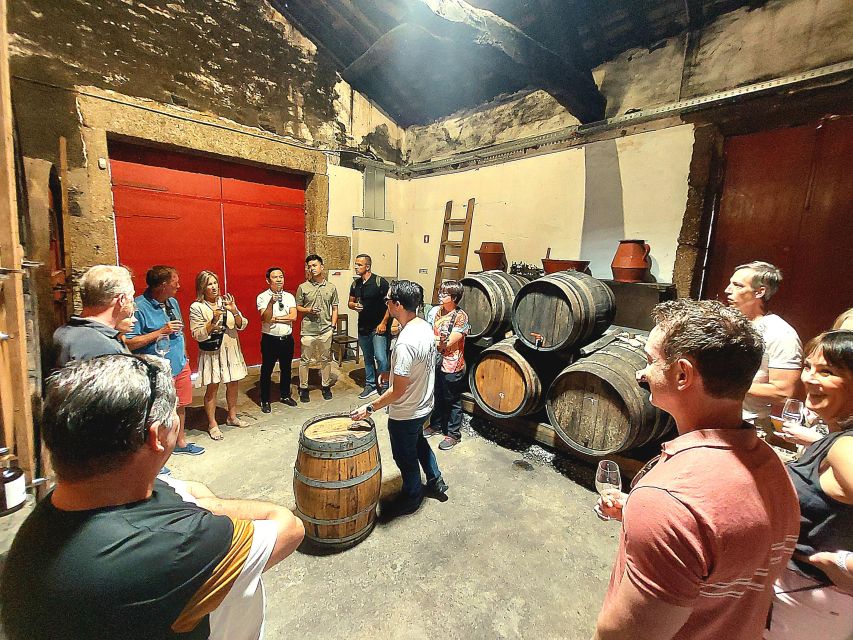 From Porto to Douro Valley, UNESCO World Heritage - Immersive Wine Tasting Experience