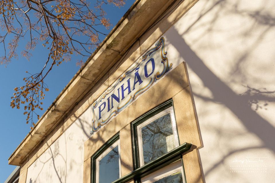 From Porto to Douro Valley, UNESCO World Heritage - What to Expect on the Tour