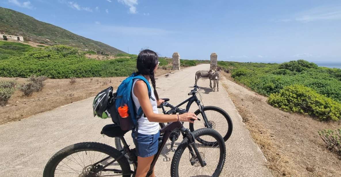 From Porto Torres: E-Bike Rental - Key Points