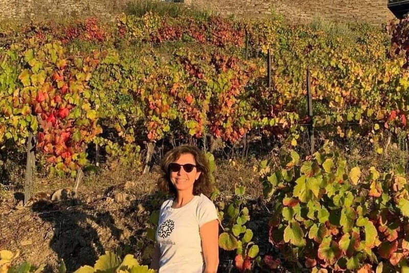 From Porto: Valle del Duero Full-Day Private Tour - An Introduction to the Douro Valley Experience