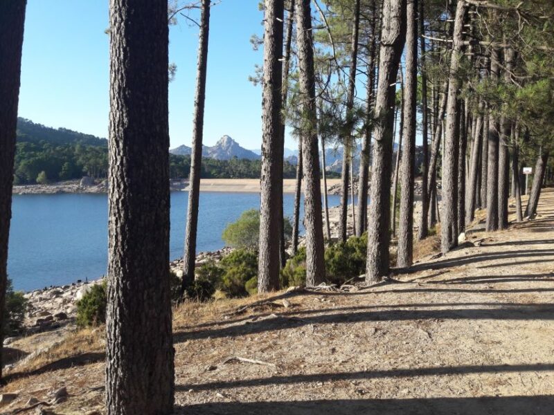 From Porto Vecchio: Corsica Mountain Tour - Pick-Up and Drop-Off
