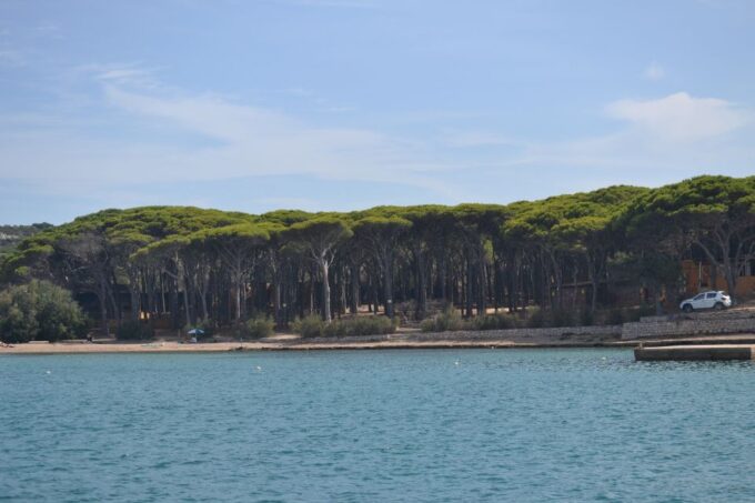 From Porto Vecchio: Maddalena Archipelago Boat Tour - Meeting Point and Directions