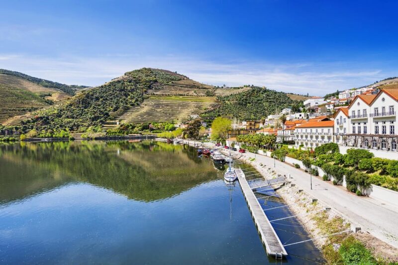 From Porto: Wine Tasting with Lunch at a Quinta, Cruise, and Train Ride - Who Will Love This Tour?