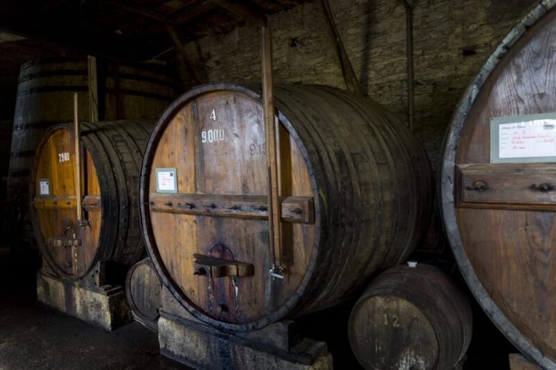 From Porto: Wine Tasting with Lunch at a Quinta, Cruise, and Train Ride - FAQ