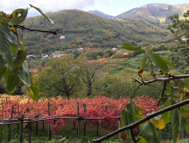 From Positano: Amalfi Coast Tour and Wine Tasting with Lunch - Final Thoughts  