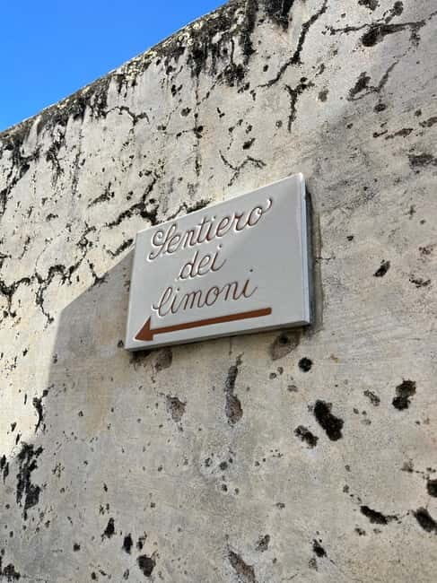From Positano: Lemon Tour with Tasting Session and Transfer - A Scenic Walk Through the Lemon Terraces