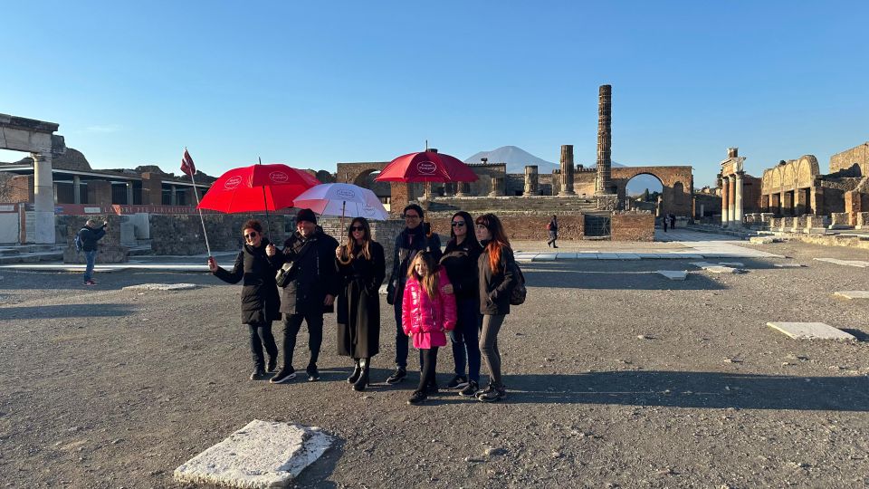 From Positano: Pompeii, Vesuvius, & Wine Tasting With Lunch - Key Points