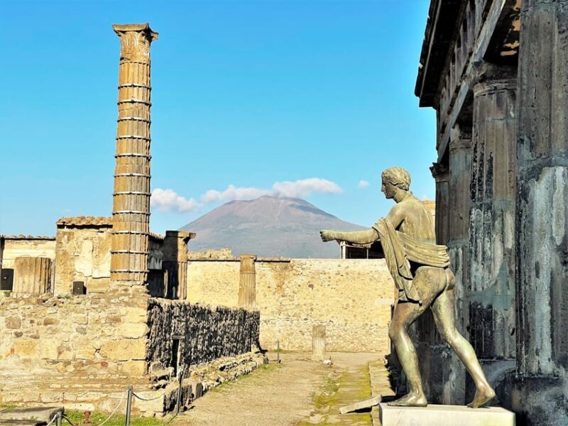 From Positano: Pompeii & Wine Tasting with Lunch - Key Points