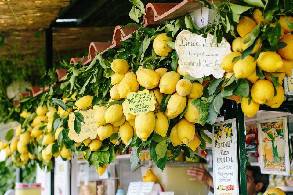 From Positano: Sorrento Coast & Capri Full-Day Trip by Boat - Group Details