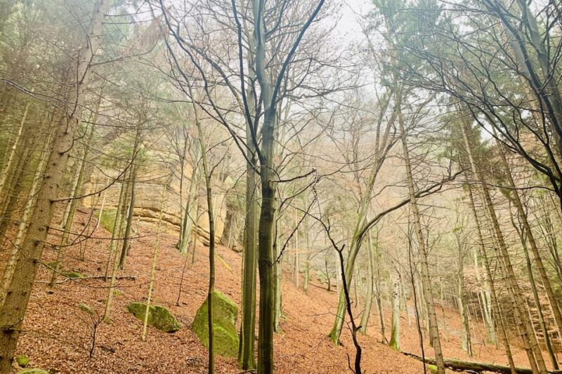 From Prague: Bohemian and Saxon Switzerland Full-Day Tour - Important Information