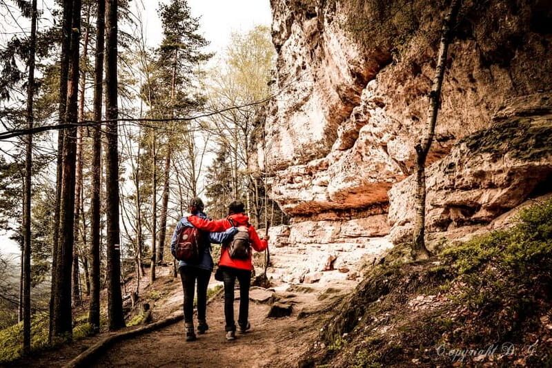 From Prague: Bohemian & Saxon Switzerland All-Inclusive Tour - FAQ