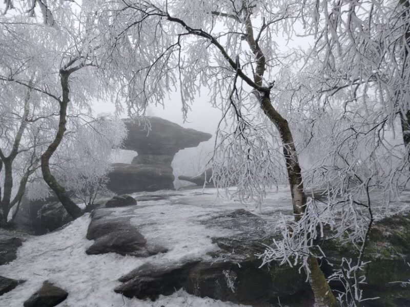 From Prague: Bohemian & Saxon Switzerland-All Inclusive Trip - Inclusions