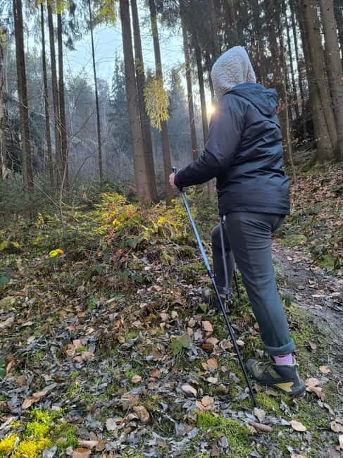From Prague: Hiking Tour of the Beauties of Kokoín - Historic and Cultural Highlights