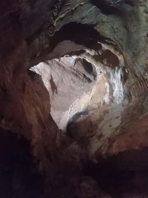 From Prague: Konprusy Caves and Bohemian Glassworks Tour - Who Would Love This Tour?