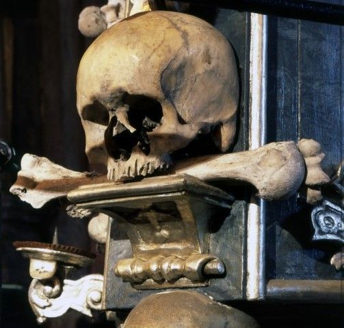From Prague: Kutna Hora Walking Tour & St. Barbara Cathedral - Location and Pricing
