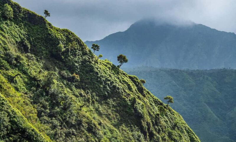 From Princeville: Discover Kauai Helicopter Tour - The Price and Its Value