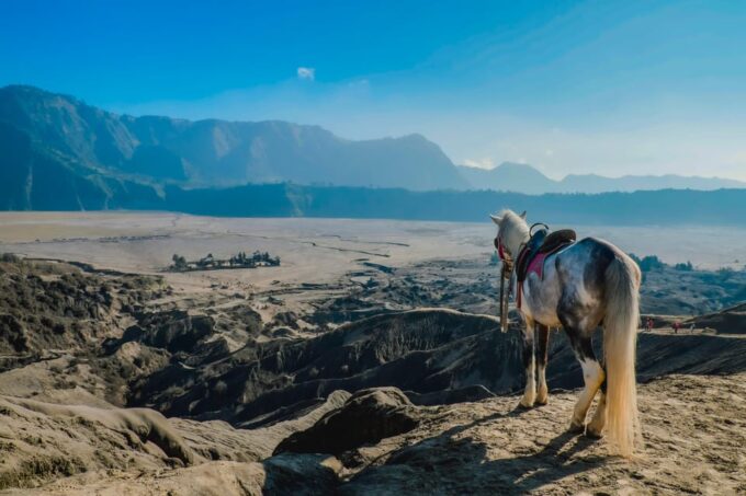 From Probolinggo: 2-Day Bromo & Ijen Tour W/ One-Night Stay - Volcanic Activity Considerations