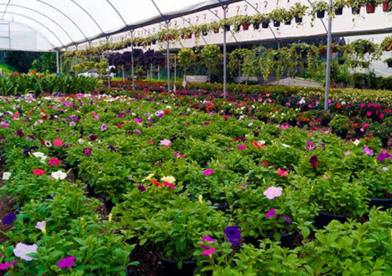 From Puebla: Cholula and Atlixco Private Tour all included - Exploring the Wonders of Cholula and Atlixco