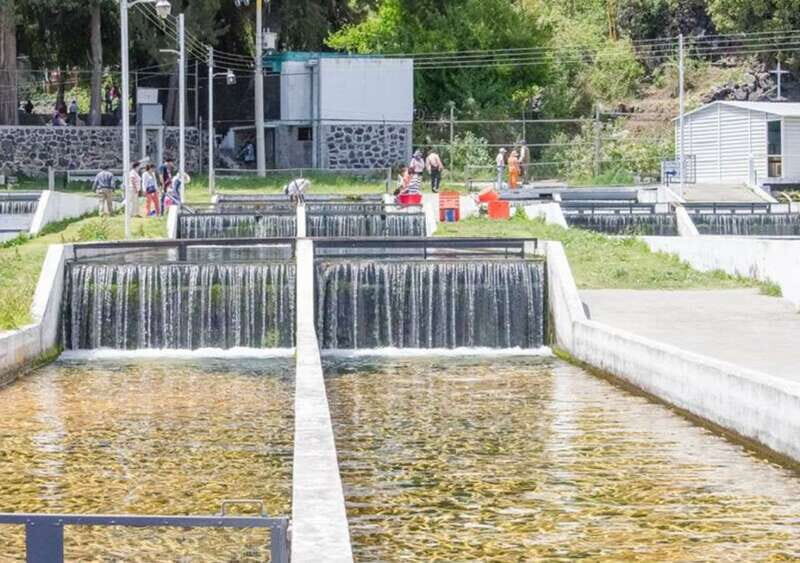 From Puebla: Cholula and Atlixco Private Tour all included - Botanical Beauty at Atlixco Nurseries