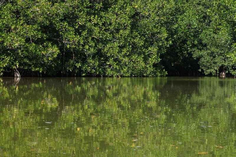 From Puerto Escondido: Day Trip to Chacahua National Park - An In-Depth Look at the Tour