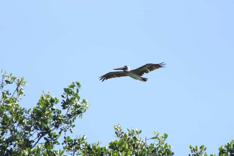 From Puerto Escondido: Day Trip to Chacahua National Park - FAQ