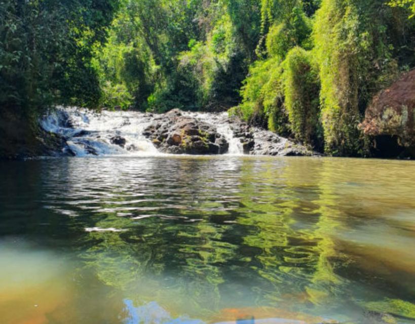 From Puerto Iguazu: Secret Falls Adventure - Key Points