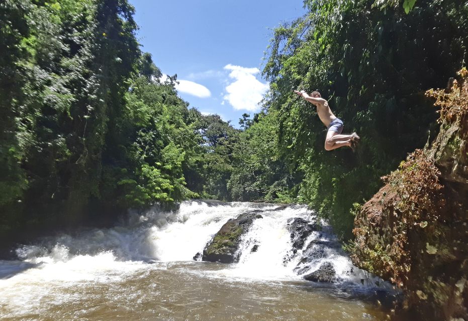 From Puerto Iguazu: Secret Falls Adventure - Hiking Trails and Wildlife
