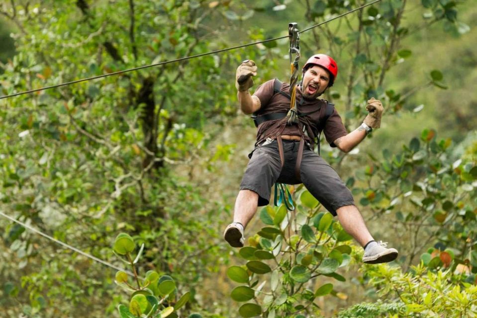 From Puerto Maldonado: 1 Day Kayak + Monkey Island Excursion - Key Points