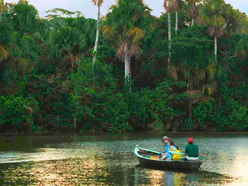 From Puerto Maldonado: 1 Day Kayak + Monkey Island Excursion - Important Information