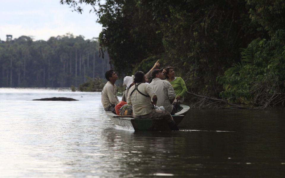 From Puerto Maldonado: Adventure in Tambopata | 3 Days - 2 Nights - Key Points