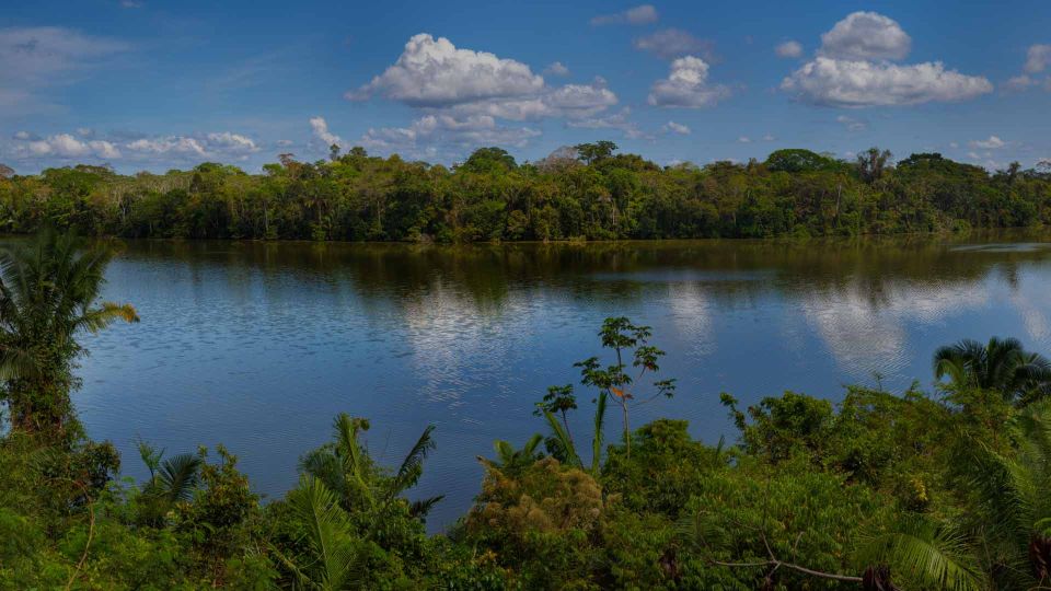 From Puerto Maldonado: Adventure in Tambopata | 3 Days - 2 Nights - Exploring the Lush Rainforests