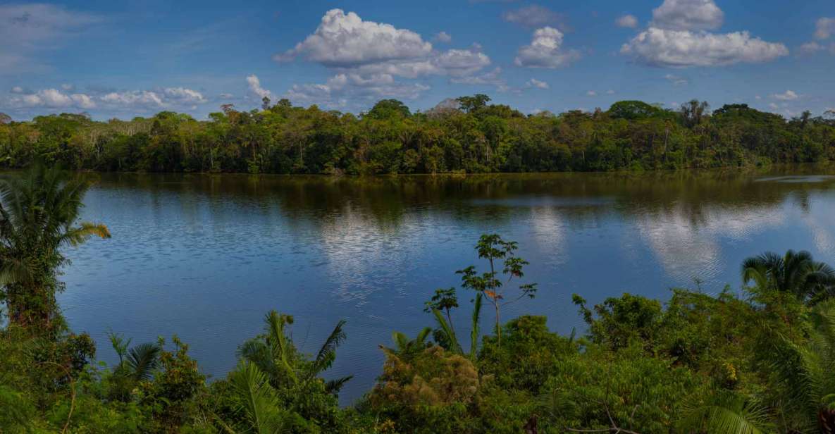 From Puerto Maldonado: Adventure in Tambopata | 3 Days - 2 Nights - Witnessing Wildlife in Action